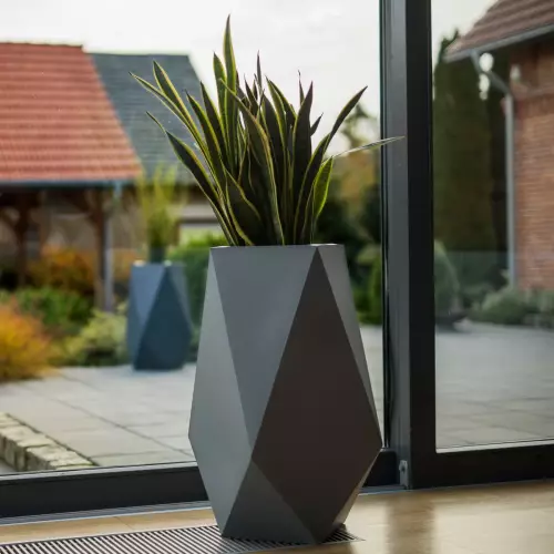 Sanseviera w antracytowe donicy Volcano