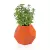 Pomarańczowa donica Alma 53 - na zioła