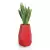 Sansevieria w czerwonej donicy Bari