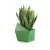 Sansevieria w limonkowej donicy Astro