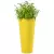 Trawa ozdobne w żółtej donicy Habana M