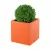 Bukszpan w pomarańczowej donicy PIXEL POT M