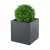 Bukszpan w antracytowej donicy PIXEL POT M