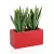 Sansevieria w czerwonej donicy Lungo