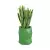 Sansevieria gwinejska w limonkowej donicy MODENA