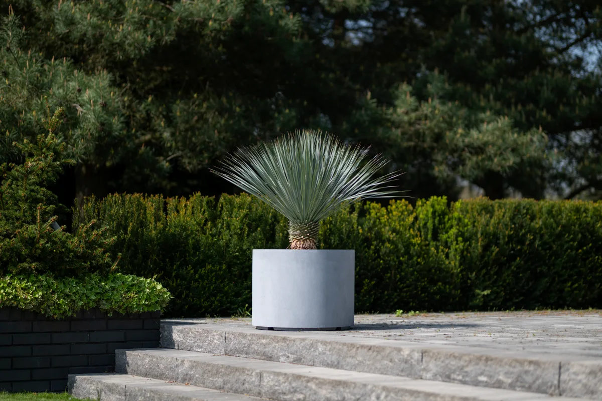 donica tarasowa szara betonowa 60 cm