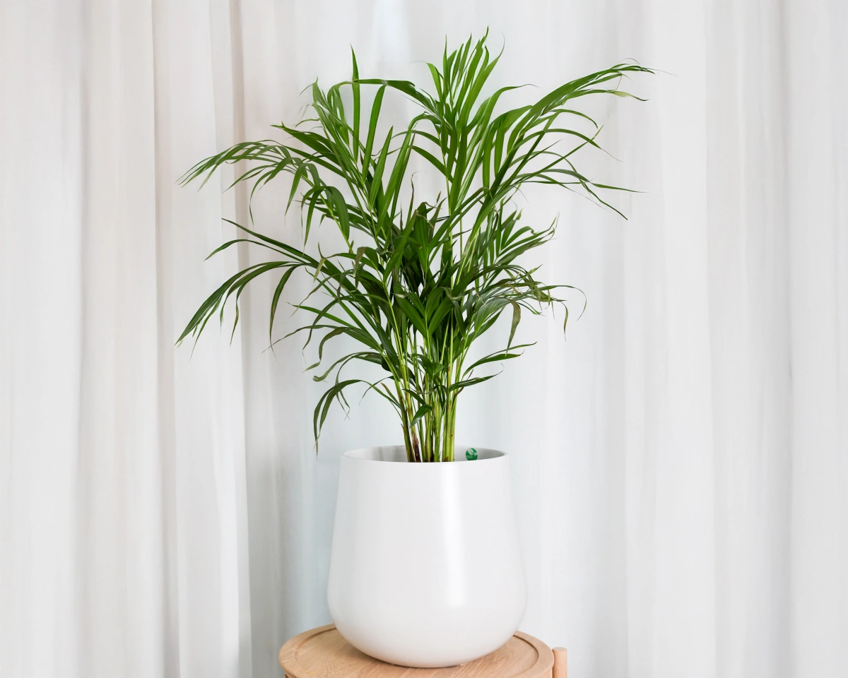 Okrągła doniczka 30 cm biały mat