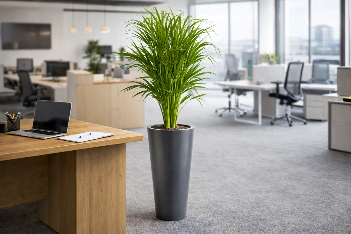 donica do salonu okrągła 70 cm antracyt