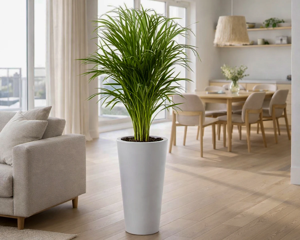 biała okrągła donica do salonu 70 cm