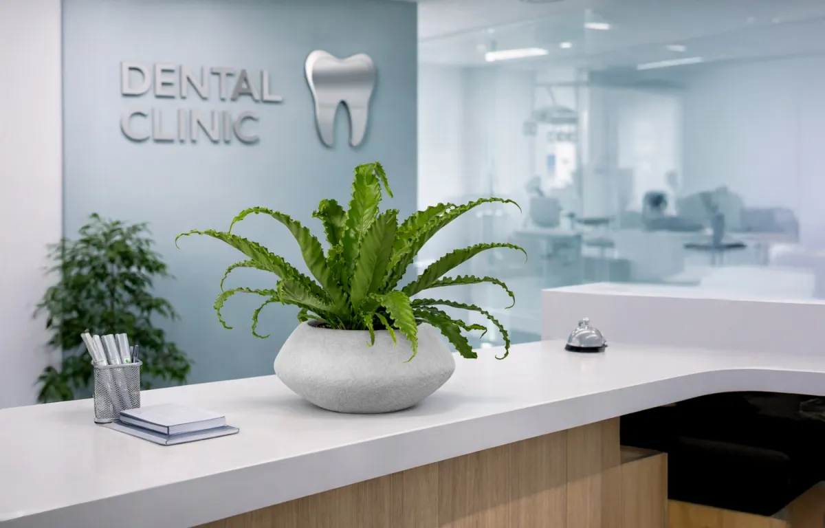 szara betonowa doniczka do recepcji