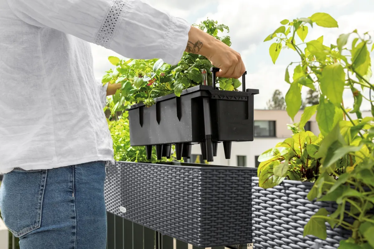 wyjmowany wkłąd w doniczkach BALCONERA