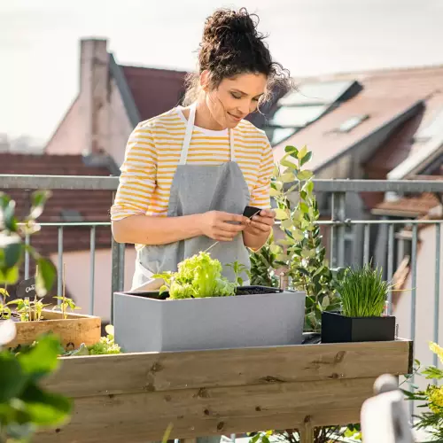Sadzenie roślin w doniczkach LECHUZA to czysta przyjemność