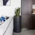 Sansevieria w antracytowej donicy ZADORA Classic RC80