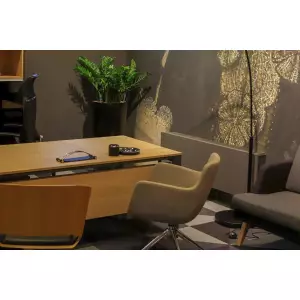 Donica do biura D208E czarny połysk + Zamiokulkas zamiolistny