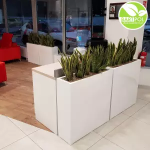 Donica do salonu D972C 90x28x90 cm biały połysk + Sansevieria laurenti