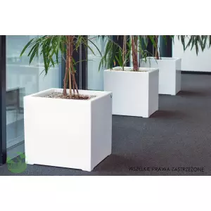 Białe kwadratowe donice do biura