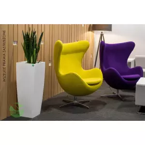 Donica D106D w kolorze biały połysk i języki teściowej w recepcji