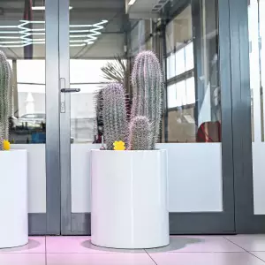 wysoka biała donica do salonu