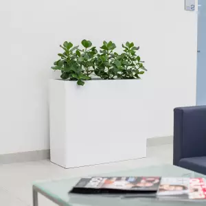 Donica ścianka biały połysk D272A i Clusia - zestaw do biura