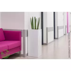 Biała donica D273B do biura - zestaw z Sansevieria cylindrica