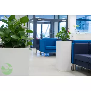 Nowoczesne donice w eleganckim biurze