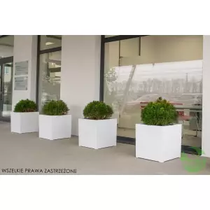 Duże białe donice tarasowe D992C + kosodrzewina