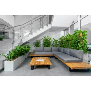 Łatwe w uprawie rośliny doniczkowe do biura