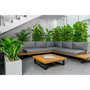 Rośliny w betonowych donicach w recepcji