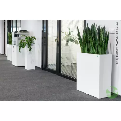 Biała donica D972A w biurze