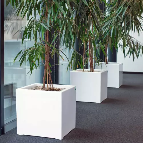 Donica D992B/biały połysk w biurze