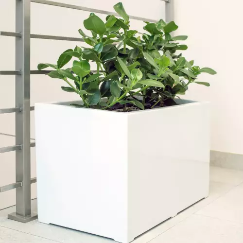 Biała donica D934B na klatce schodowej