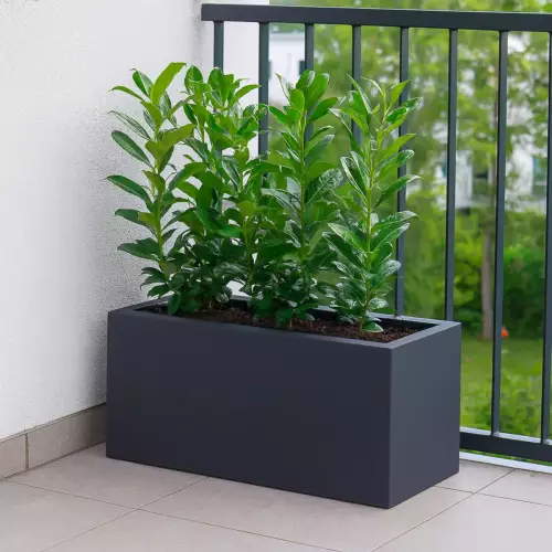 Antracytowa donica MEGALO na balkonie