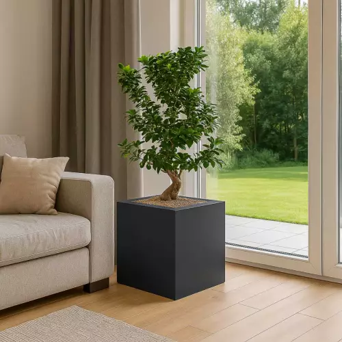 Donica LIGO 40x40x40 cm antracyt