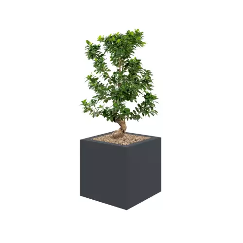 Donica LIGO 40x40x40 cm antracyt