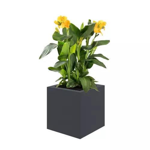 Donica LIGO 40x40x40 cm antracyt