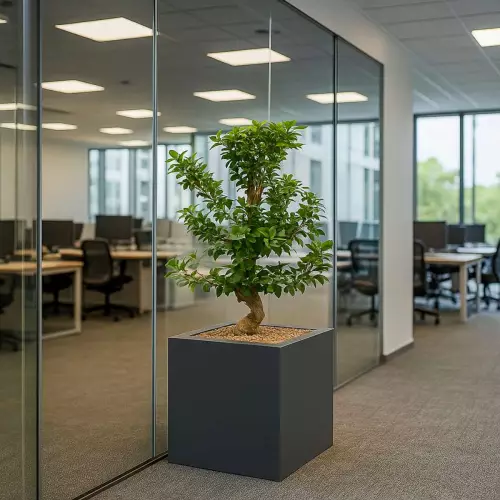 Donica LIGO 40x40x40 cm antracyt