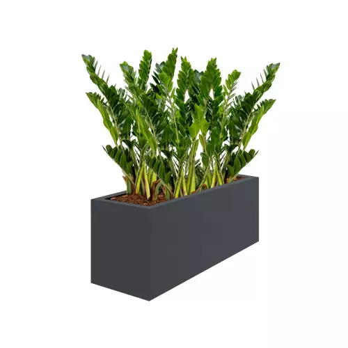 Donica MEGALO 80x30x40 cm antracyt