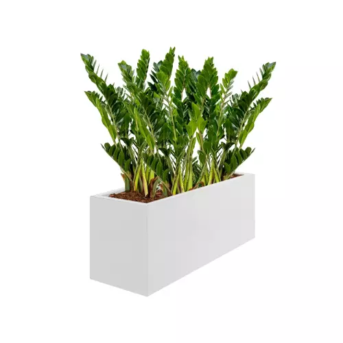 Donica MEGALO 80x30x40 cm biały