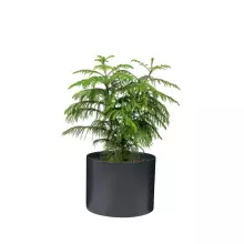 Donica z włókna szklanego D101A antracyt mat