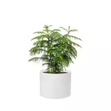 Donica z włókna szklanego D101A biały połysk