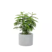 Donica z włókna szklanego D101A szary beton