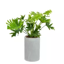 Donica z włókna szklanego D101C szary beton