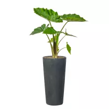 Donica z włókna szklanego D208C grafitowy beton