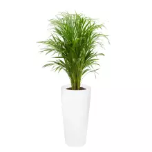 Donica z włókna szklanego D208C BPD biały połysk