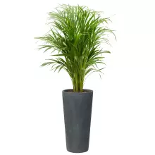 Donica z włókna szklanego D208D grafitowy beton