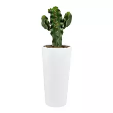 Donica z włókna szklanego D208E biały połysk