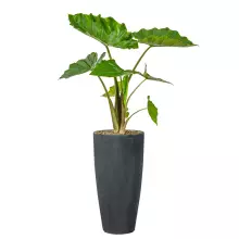 Donica z włókna szklanego D282D grafitowy beton