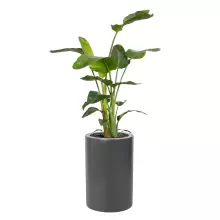 Donica z włókna szklanego D901BA antracyt mat