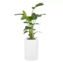 Donica z włókna szklanego D901BA biały połysk