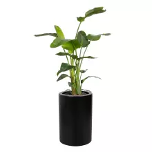 Donica z włókna szklanego D901BA czarny mat